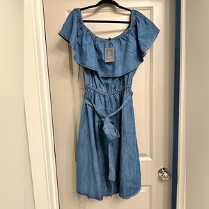 Lane Bryant Blue Denim Dress
